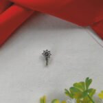 Nosepin Combo (Set of 4) - Image 2